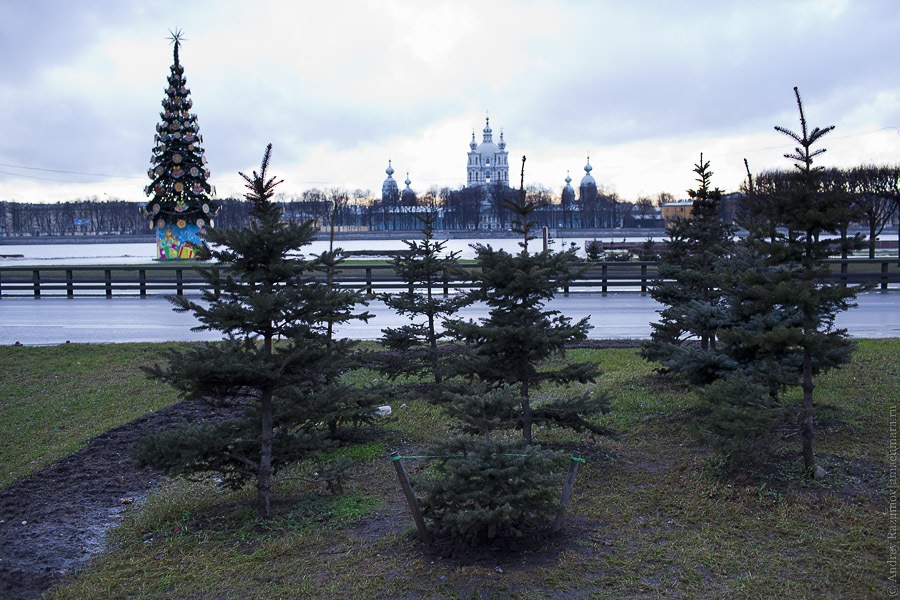 Зима без снега Петербург